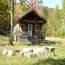 IMAGE2