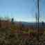 IMAGE6