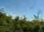 IMAGE2