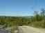 IMAGE4