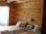 IMAGE7