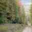 IMAGE2
