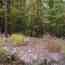 IMAGE3